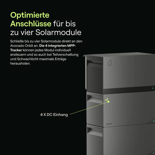 Avocado Orbit M