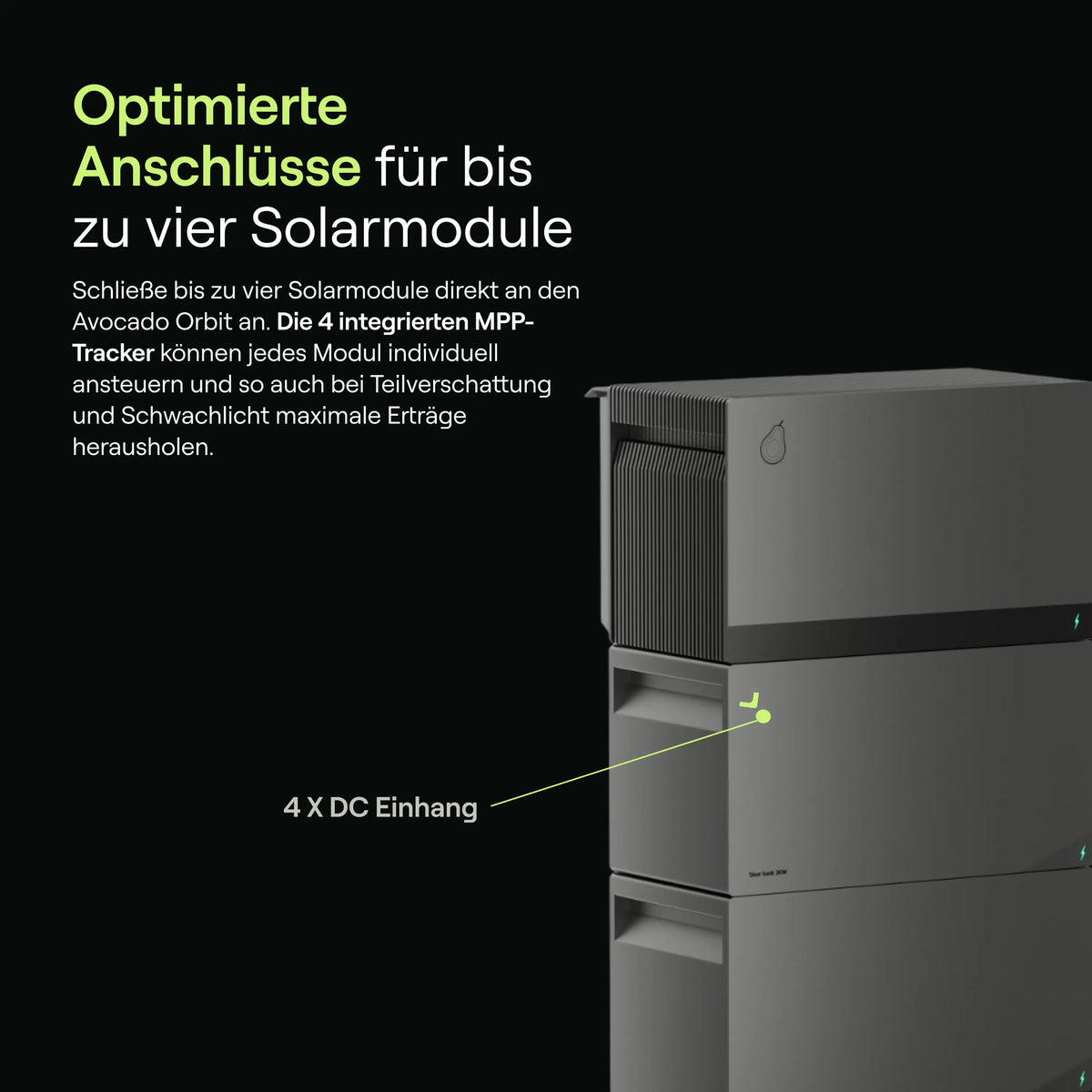 Avocado Orbit M