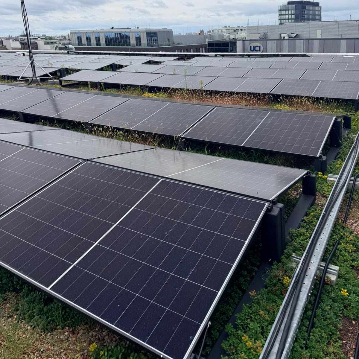 WATTSTONE 10° XL - Gründach PV-Aufständerung aus Feinbeton ohne Zubehör